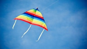 Fly A Kite Day @ Country Club Retirement Community | Whitney | Texas | United States